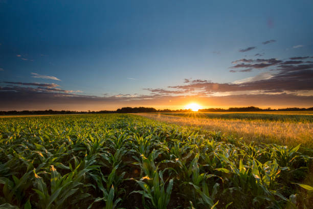 A 12-day agritourism safari in Kenya